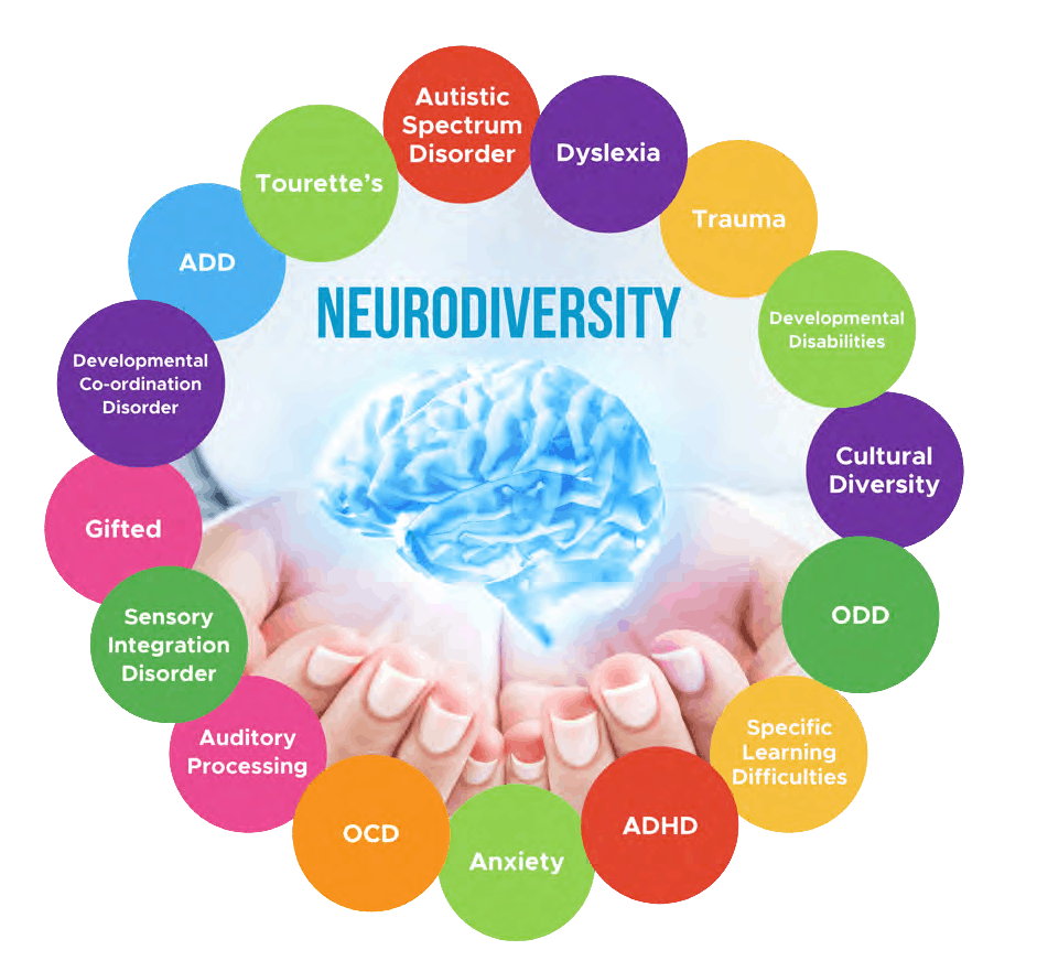 supporting neurodivergent students